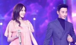 罗晋爆料杨佳音视频合集,独家爆料背后的真相